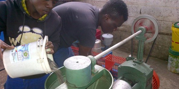 Tapera Industries, la start-up zambienne qui transforme l'huile alimentaire en biocarburant