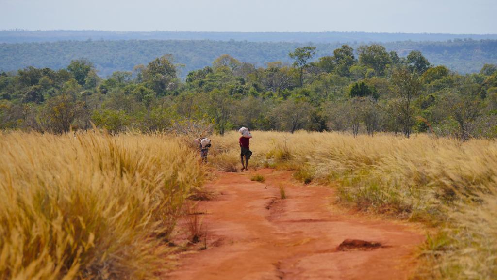 Les touristes toujours plus nombreux à Madagascar