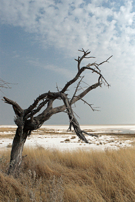 Namibie