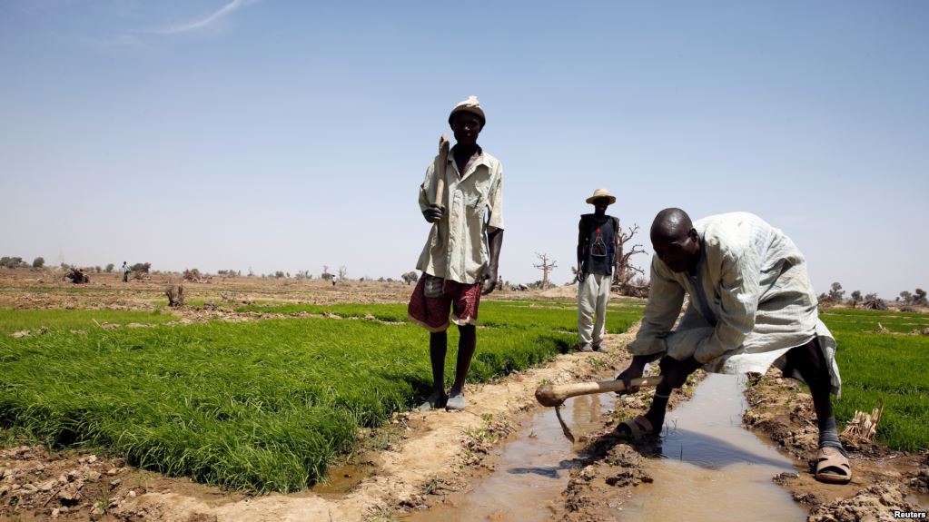 L'inflation recule pour la première fois en 15 mois au Nigeria