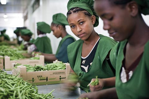 Croissance économique : l'Afrique rebondit