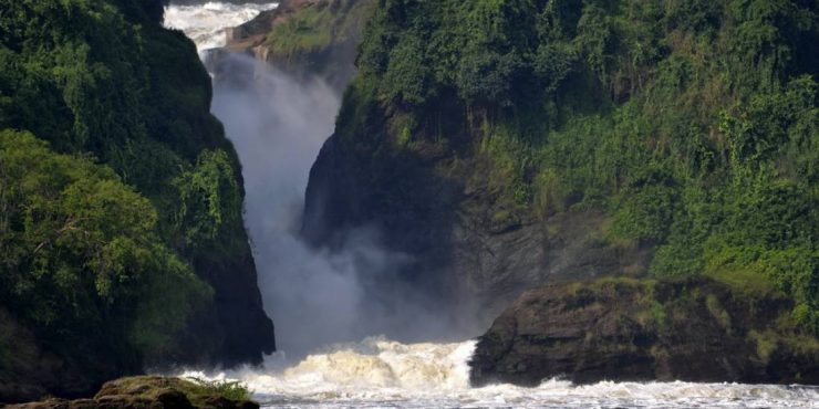 La Folie Safari au Congo et dans la région du Nil Blanc