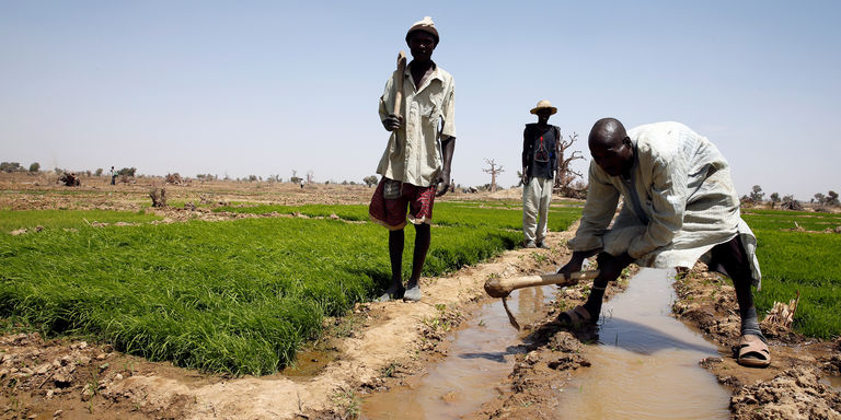 « En Afrique, l’innovation financière est une clé pour une révolution doublement verte »