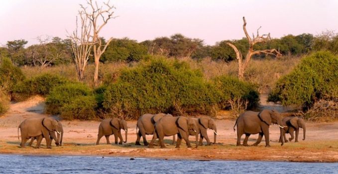 Le Botswana, entre découverte et sublimation