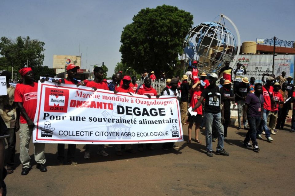 Agro-industrie africaine: Quel avenir?
