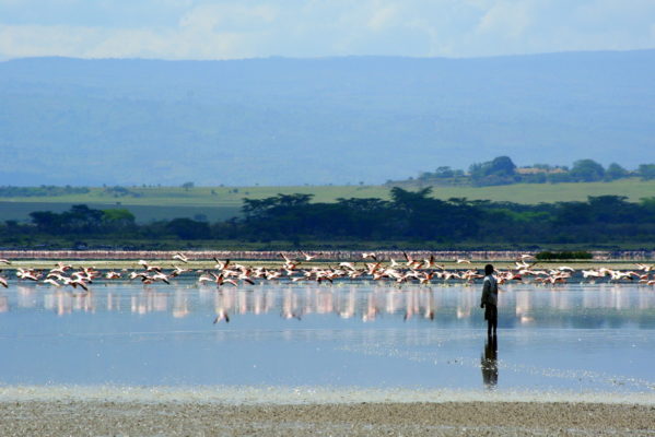 Patrimoine mondial de l’UNESCO: Le Kenya