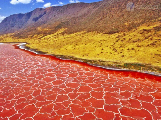 le-lac-natron