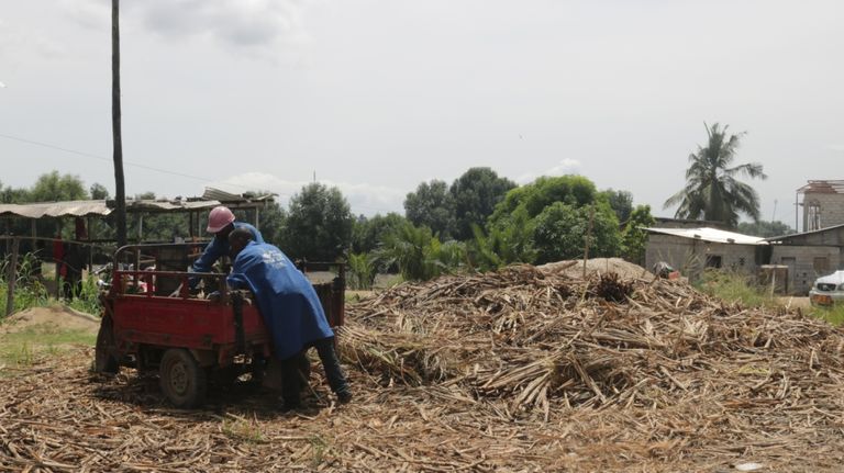 Au Cameroun, une start-up de charbon bio attend ses investisseurs