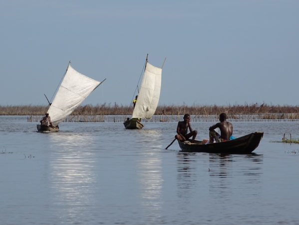 Voyager au Bénin pour protéger notre planète ?