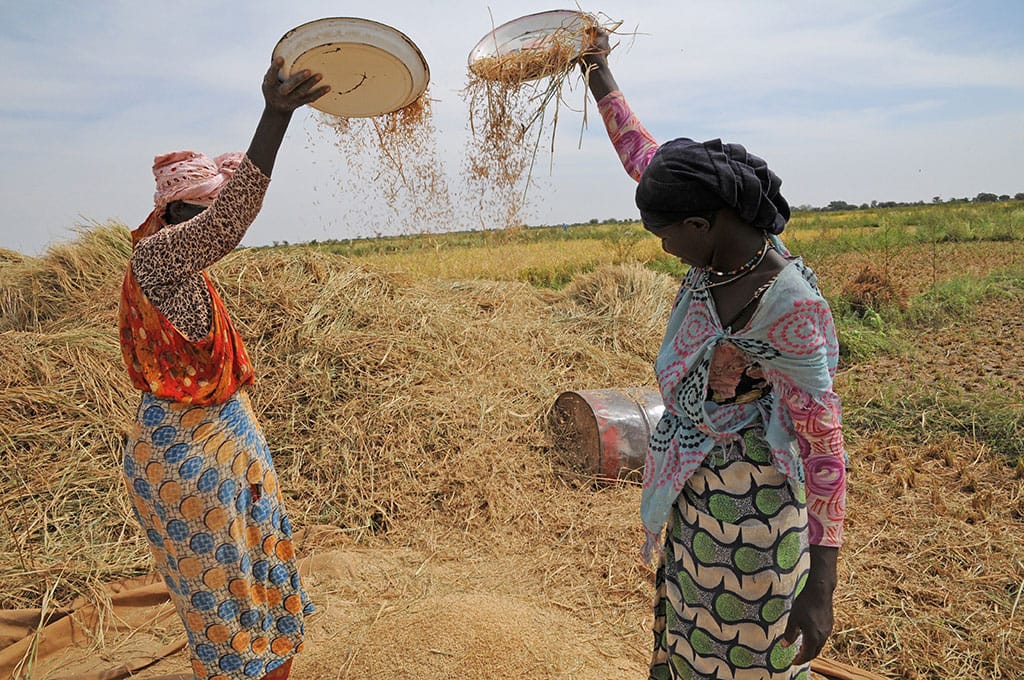 Lutte contre la faim et la pauvreté: Le rôle des femmes rurales (FAO)