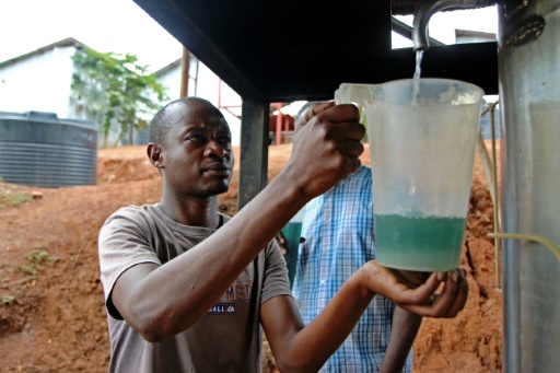 Rwanda: Les huiles essentielles pour décupler les revenus agricoles