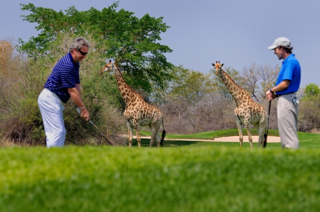 En 2016, le tourisme a apporté 35 milliards $ au continent africain, en hausse de 8%