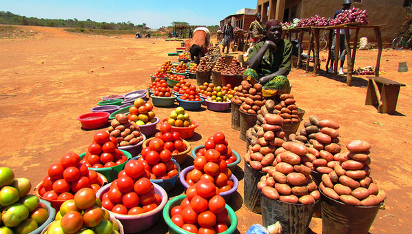 Aider les producteurs locaux à profiter de l’urbanisation