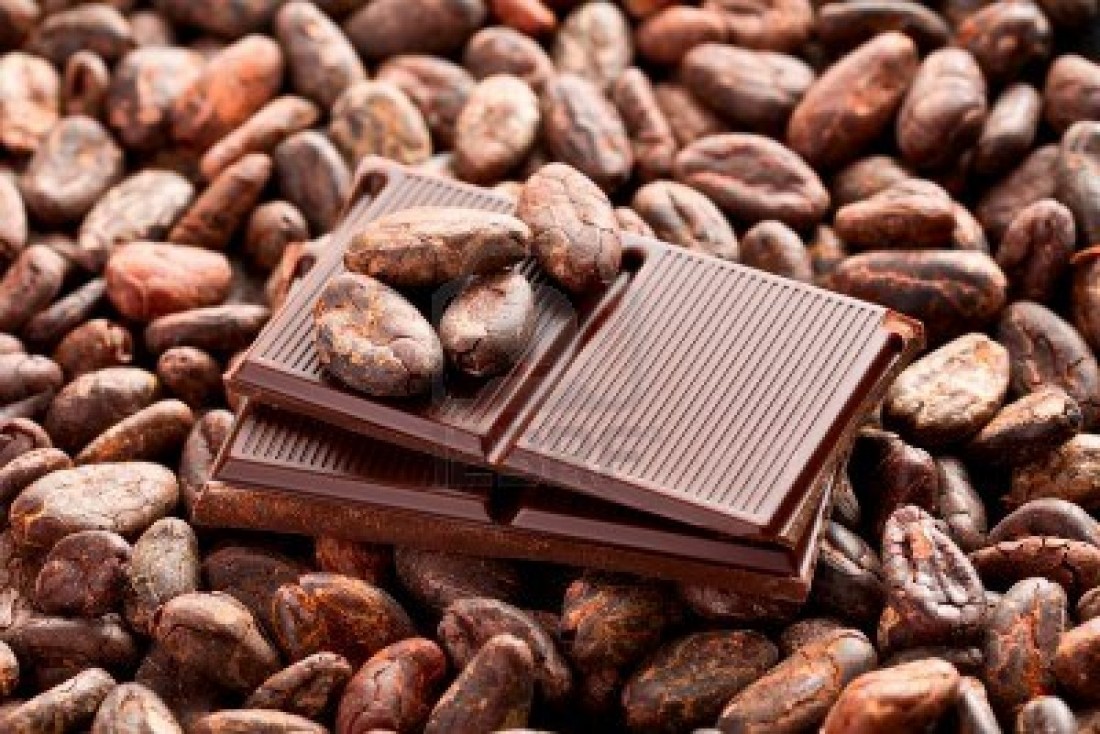 Un ex-banquier parie sur le chocolat équitable made in Côte d'Ivoire