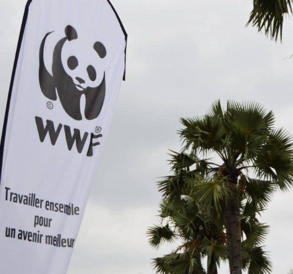Écosystème de l’Afrique : la meilleure gestion de l’eau, clé du développement durable