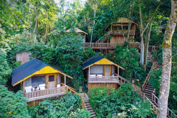 Tourisme: le Rwanda inaugure un complexe hôtelier dans les arbres