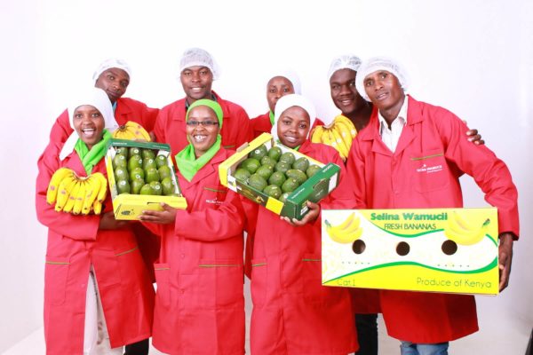 Kenya : Selina Wamucii l’application qui révolutionne l’agriculture