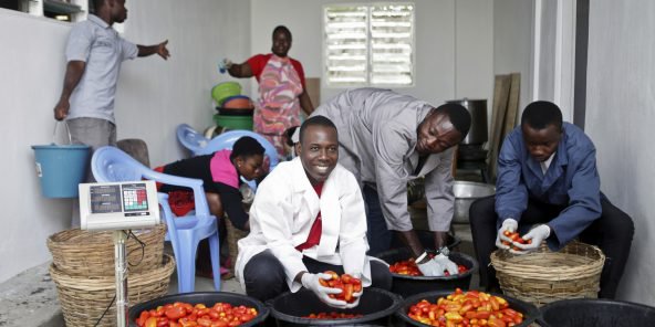 Ismaël Tanko : tomate, quand tu nous tiens !