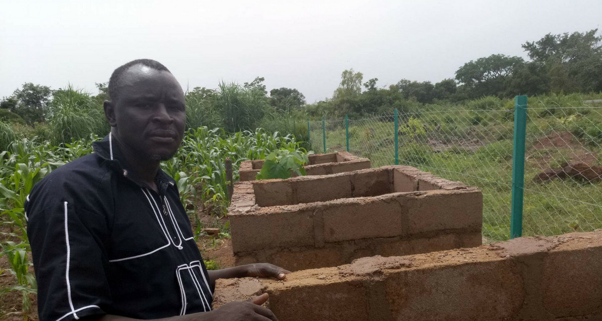 Au Mali, les cultivateurs expérimentent une nouvelle variété de sorgho