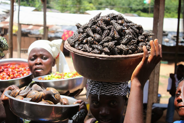 Côte d’Ivoire : Portrait de la ville de San-pédro