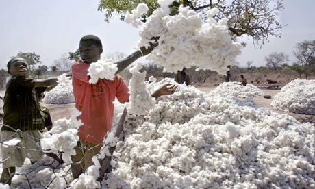 Burkina : Ayka Textile va installer une usine de transformation de coton