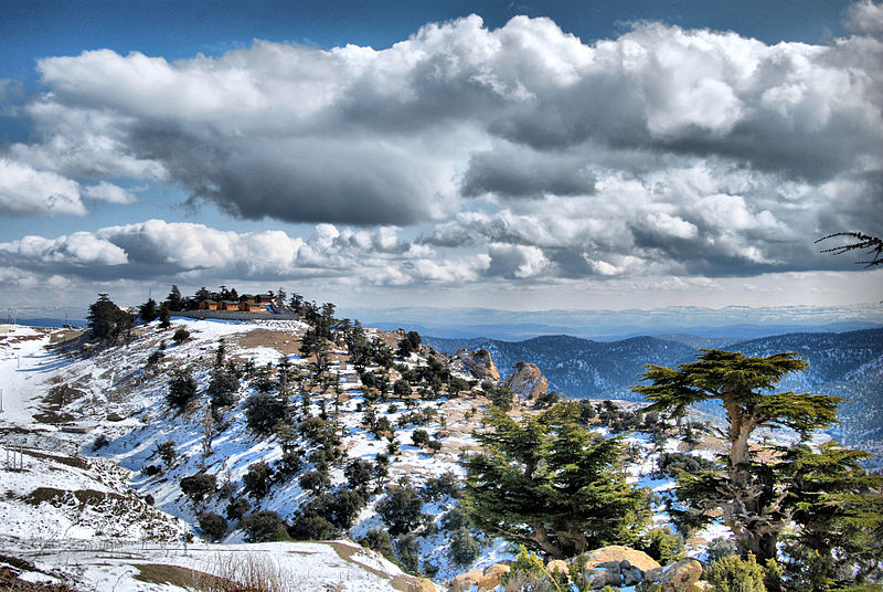Excursion entre montagnes et plateaux : l’Algérie