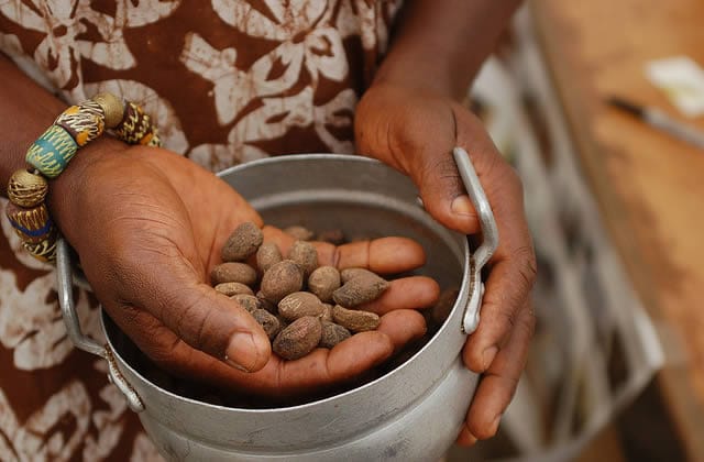 Premiers produits mauritaniens certifiés "BIO" en destination des marchés européens et américains