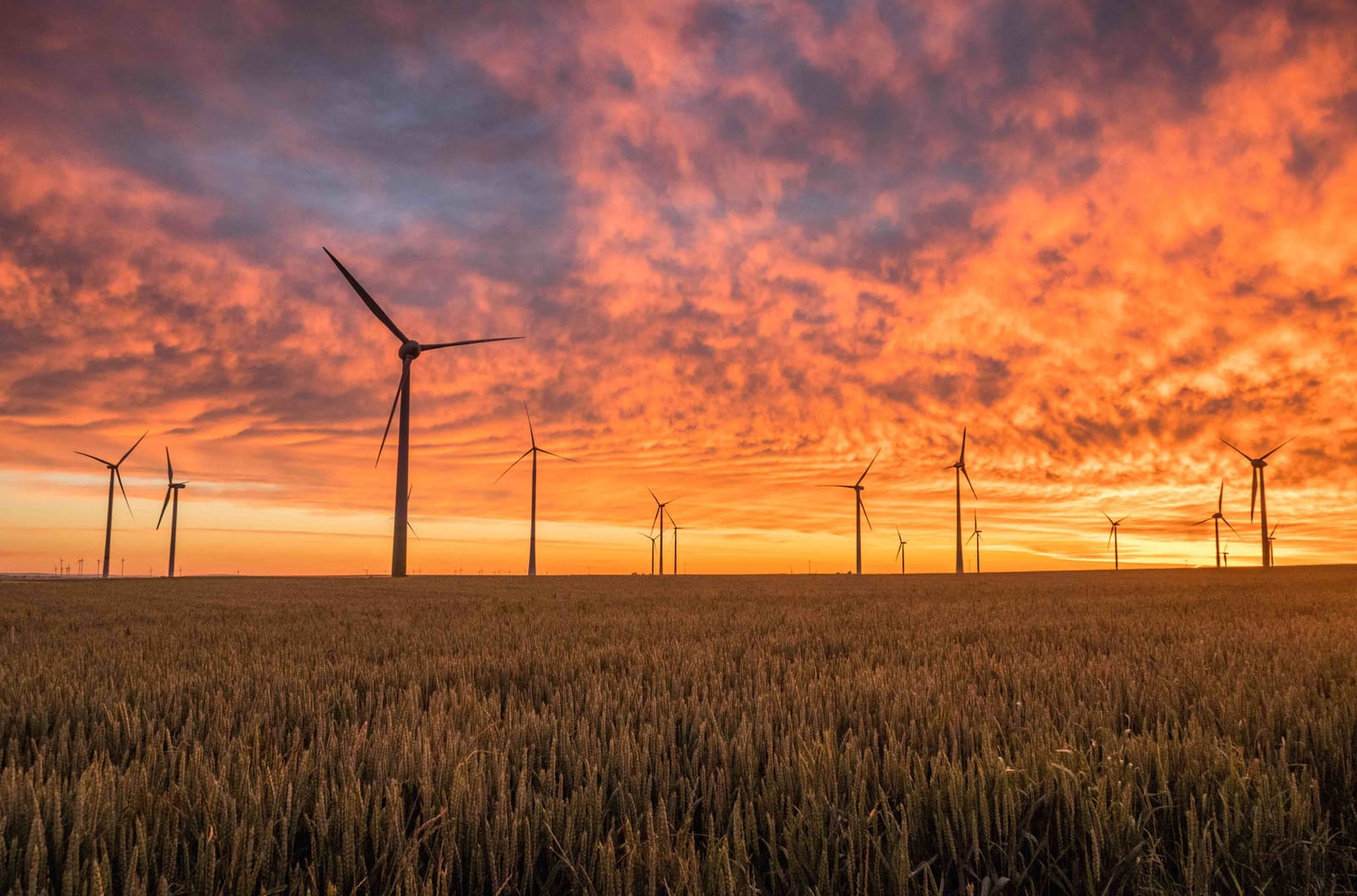 Afrique du Sud : la Banque mondiale garantie l'investissement pour 360 MW de centrales éoliennes