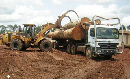 La société camerounaise Sodinaf rachète les actifs du groupe Rougier au Cameroun et en Centrafrique