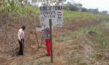 Près de 4,3 milliards FCFA injectés dans le secteur agricole au Cameroun