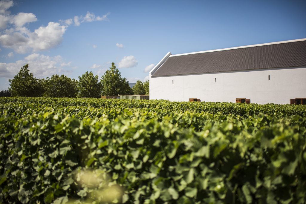 Babylonstoren, un retour aux sens entre vignes et jardins