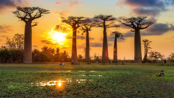 Madagascar : à la croisée de deux mondes