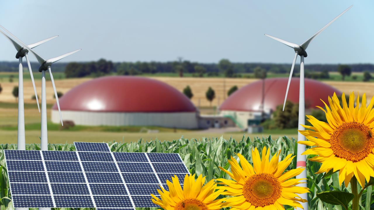 La transition énergétique en Afrique : l'objectif principal de la Semaine africaine de l'énergie 2021