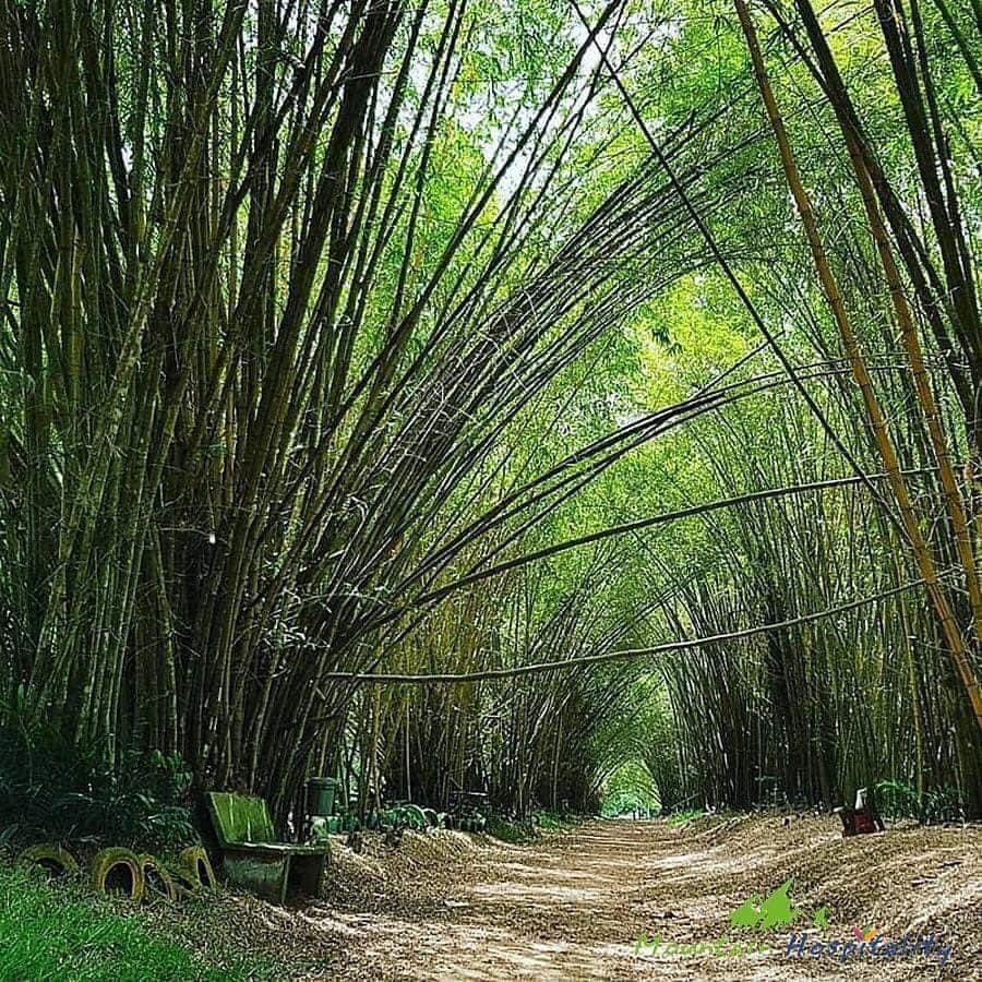 S’évader au vert à Abidjan