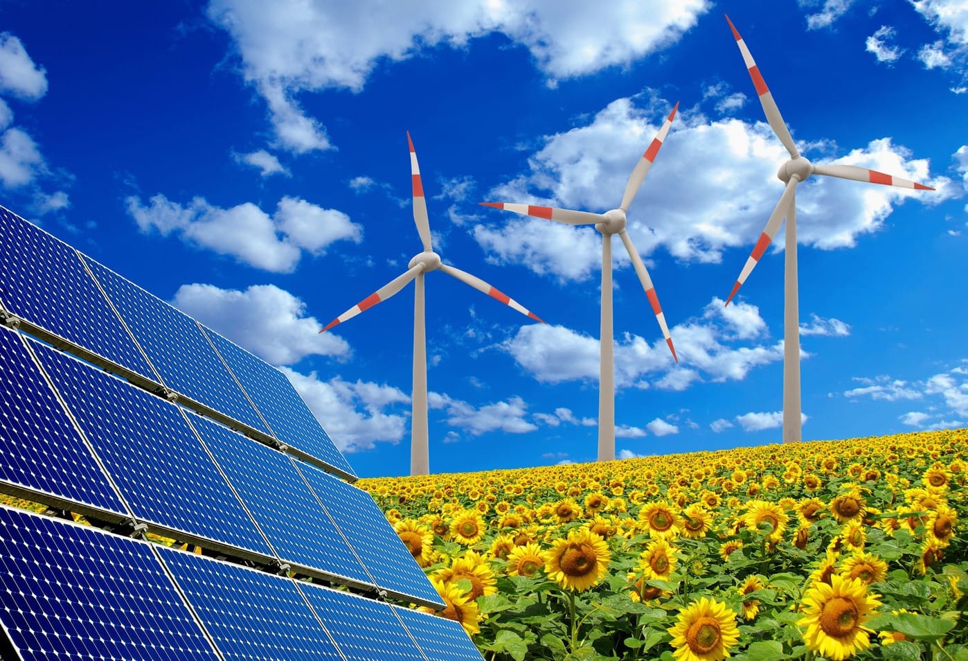 L’Afrique innove pour un avenir vert : reforestation et énergies durables en action !
