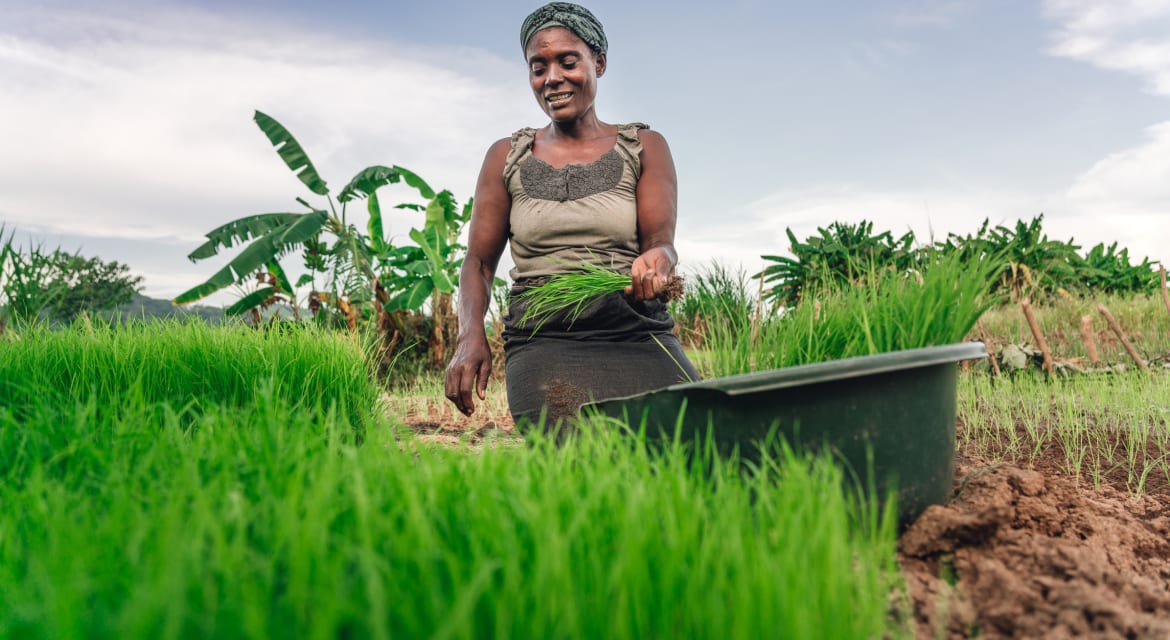 L’avenir de l’agriculture durable