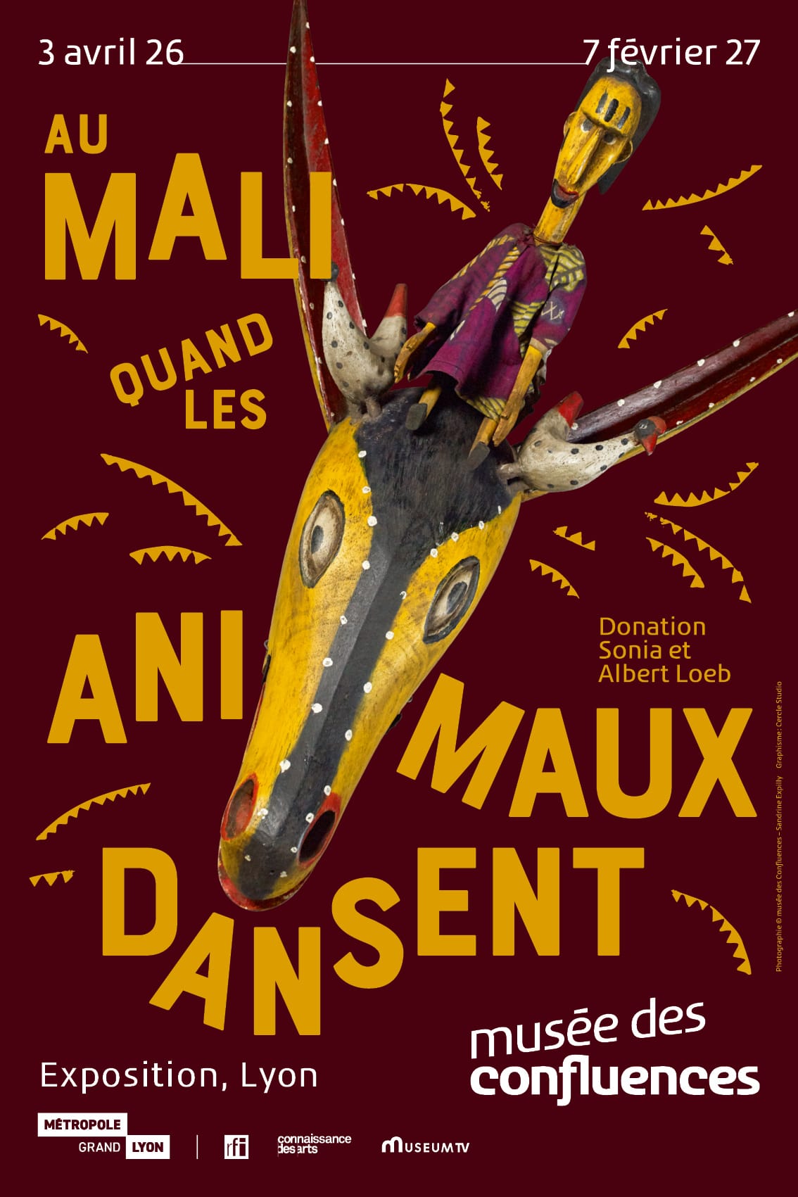Au Mali, quand les animaux dansent : l'exposition événement à Lyon !