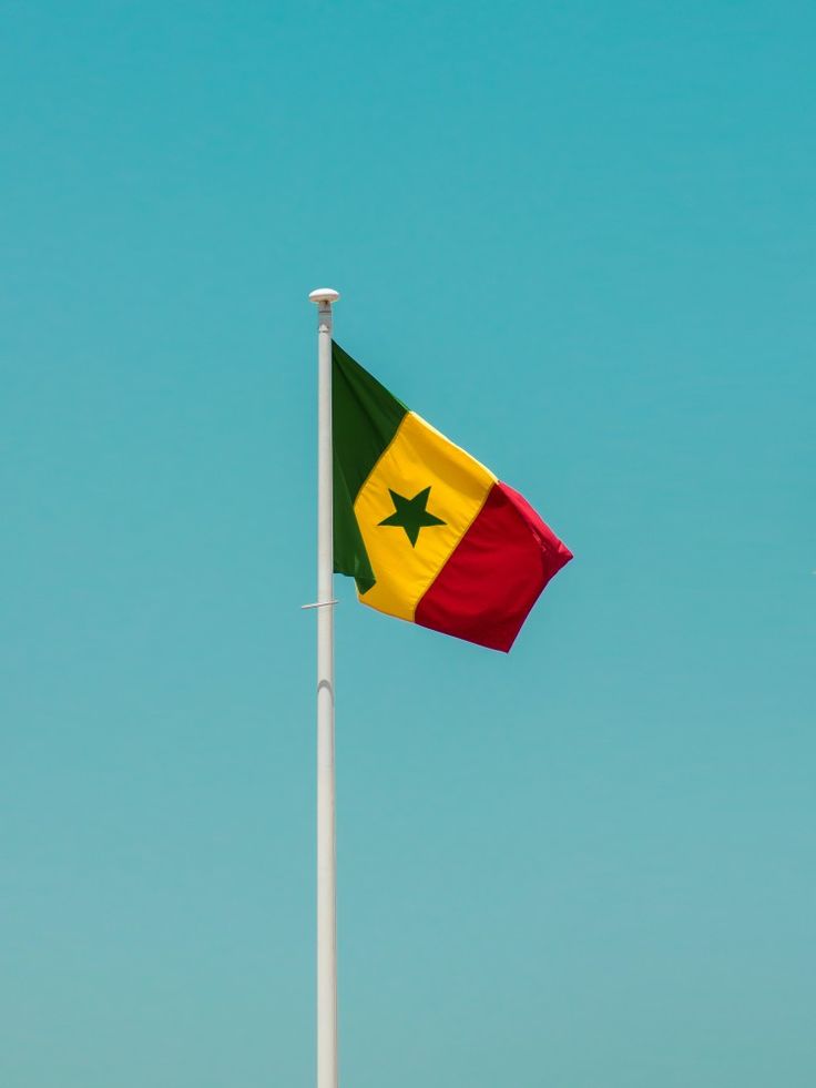 Rappeurs sénégalais à Bruxelles : quand le wolof et le français créent un flow inédit
